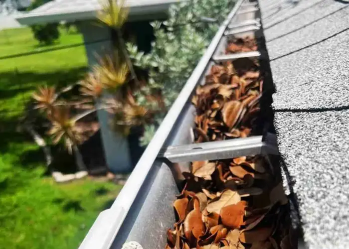 Rock Hill gutter cleaning home page